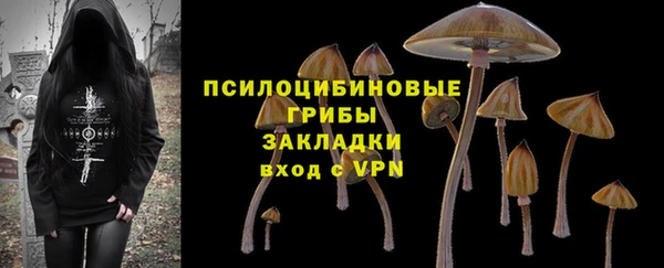 apvp Михайловск
