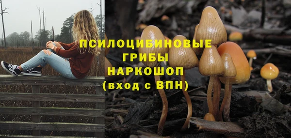 синтетический гашиш Михайлов