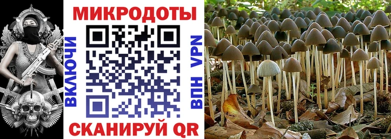Галлюциногенные грибы Magic Shrooms где найти наркотики Южа
